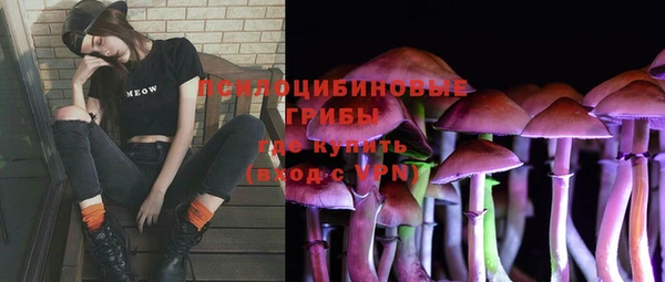 экстази Белокуриха
