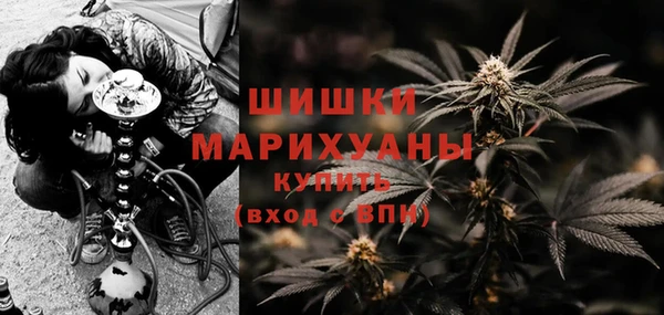 крисы Армянск