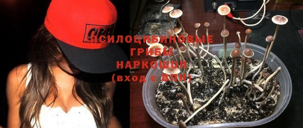 MESCALINE Арсеньев