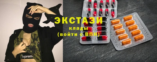 крисы Армянск