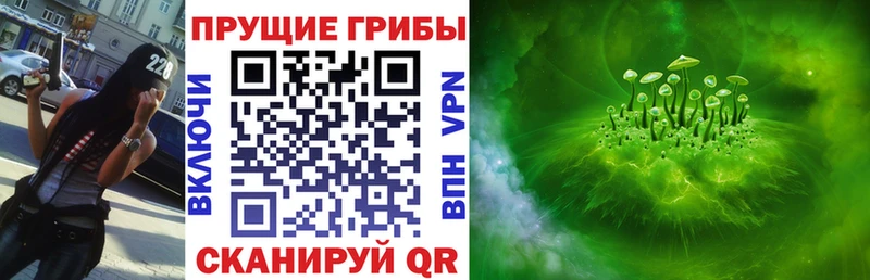 Купить где  Североморск  Галлюциногенные грибы мицелий 